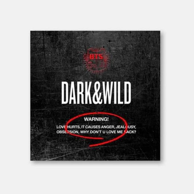 BTS album - DARK AND WILD